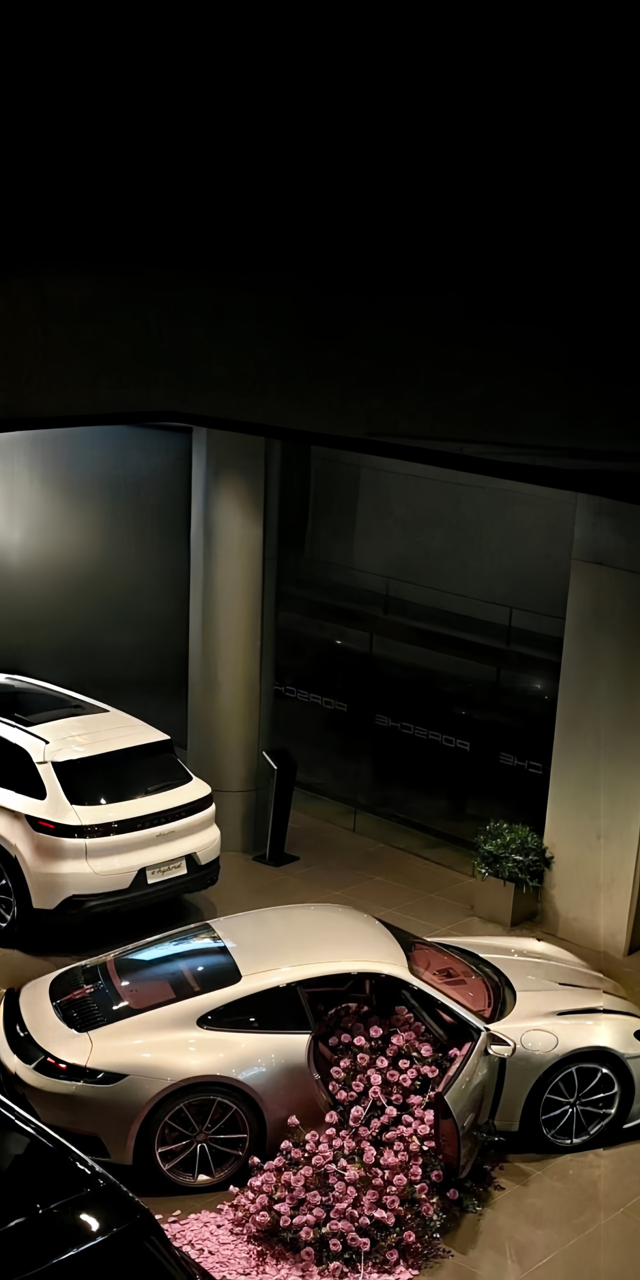 Porsche 911 Cherry blossoms Wallpaper