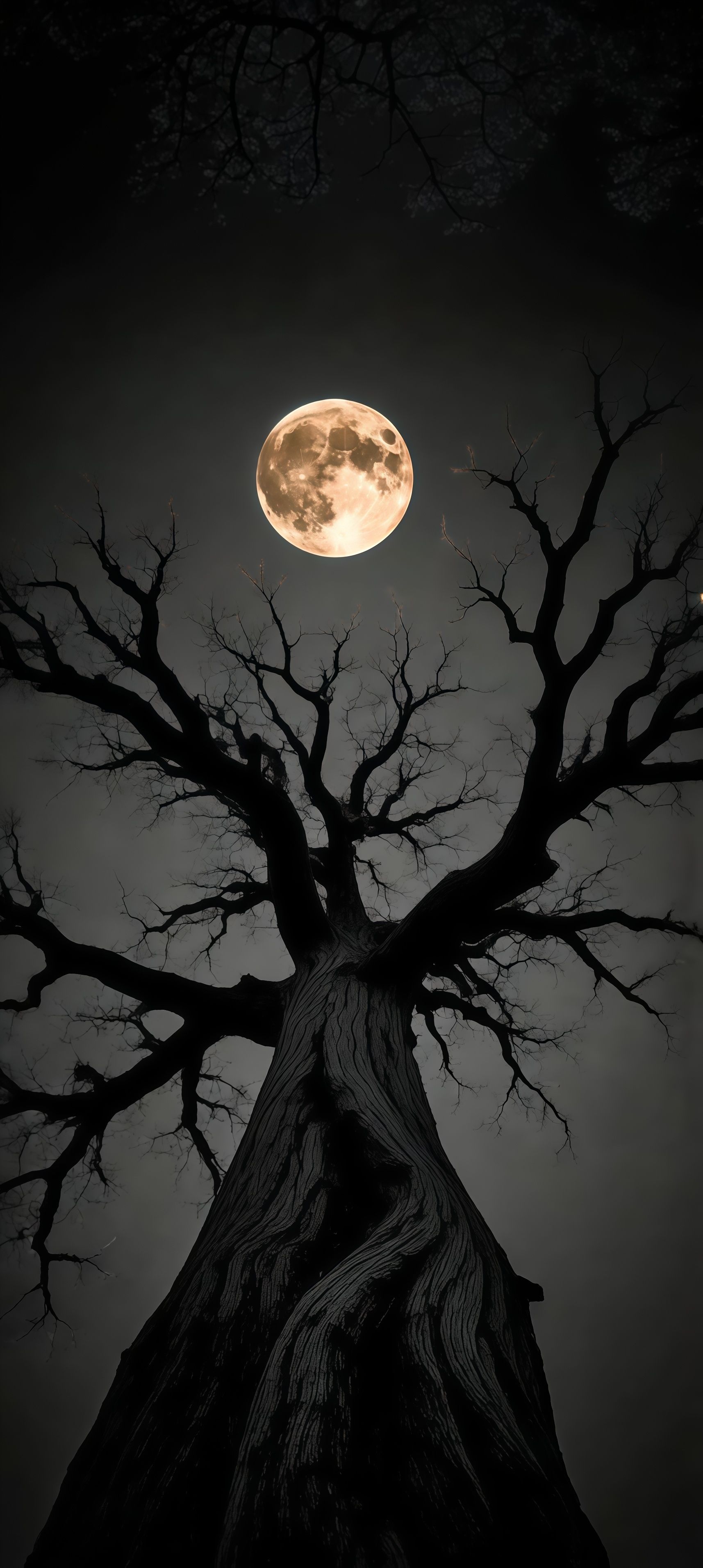 Gothic Spooky Full Moon Tree Silhouette Wallpaper