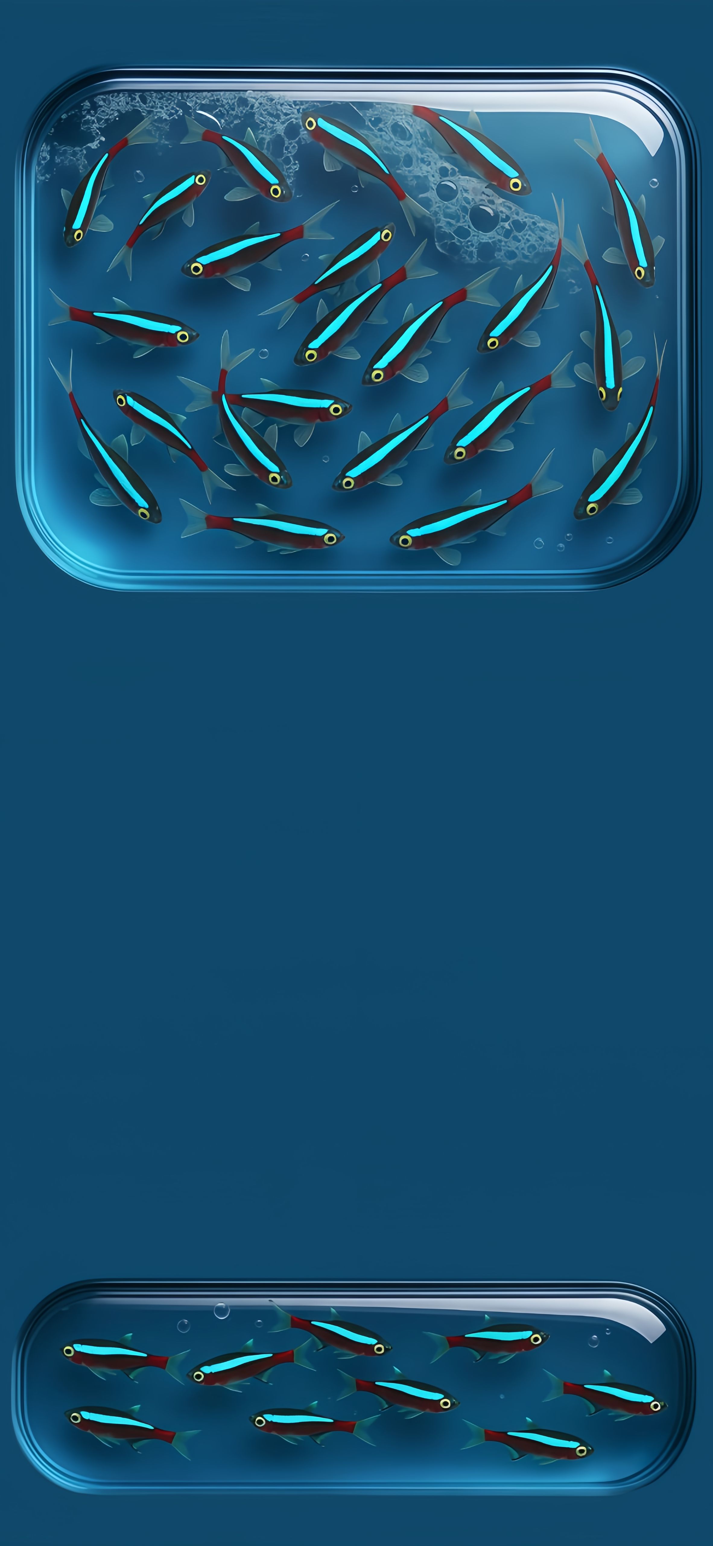 Glowing Electric Blue Neon Tetra Fish Wallpaper