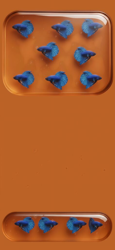 Magnificent Blue Betta Fighter Fish Wallpaper