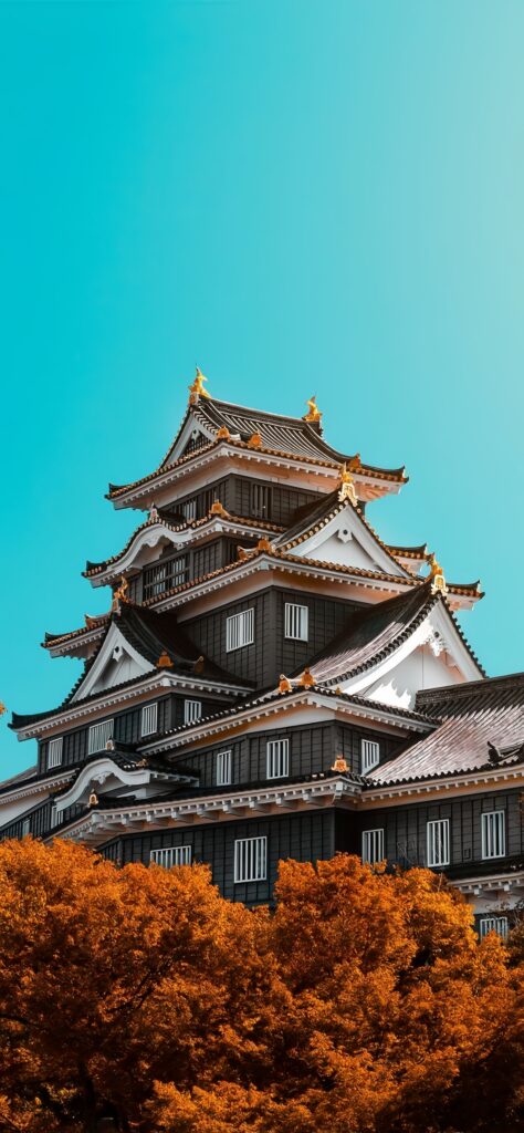 Okayama Castle Japan Blue Sky Autumn Wallpaper