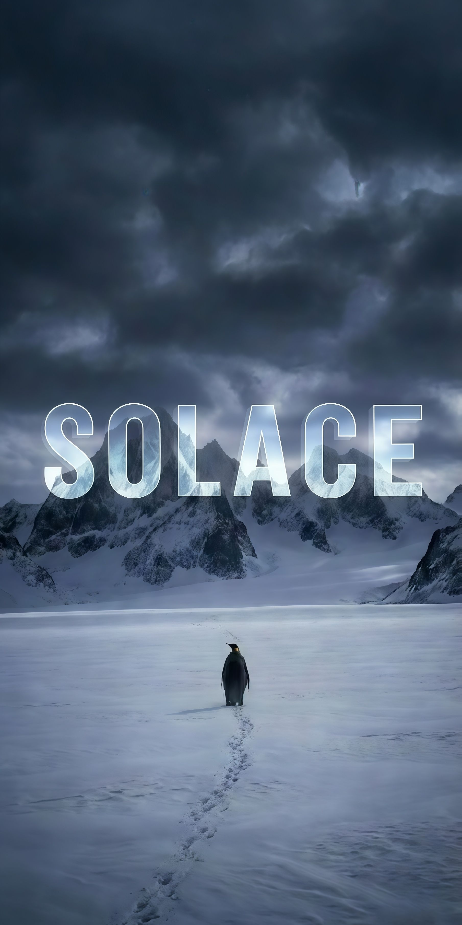 But Why Penguin Solace Wallpaper