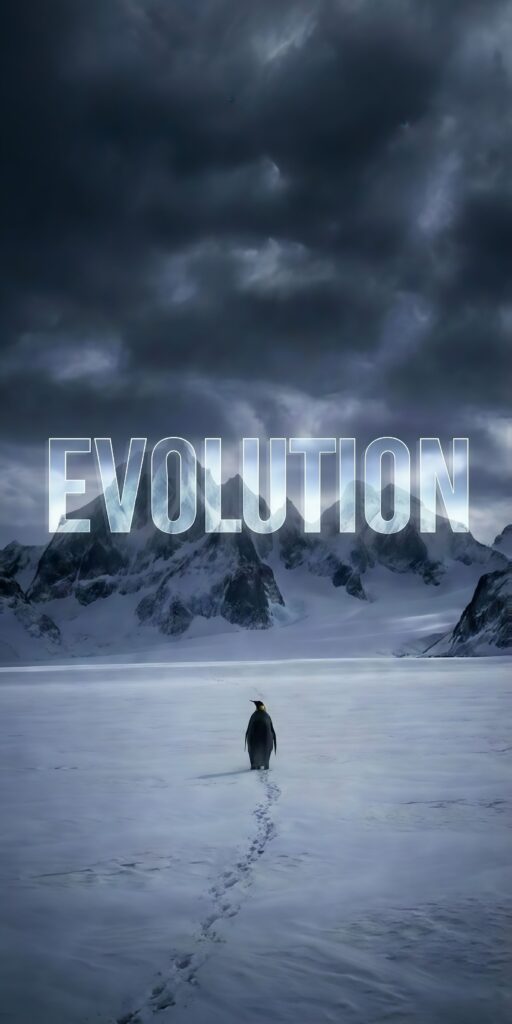 Depressed Penguin Evolution Wallpaper