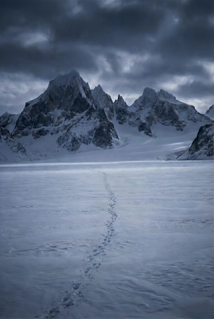 Depressed Penguin Horizon Trek Live Wallpaper