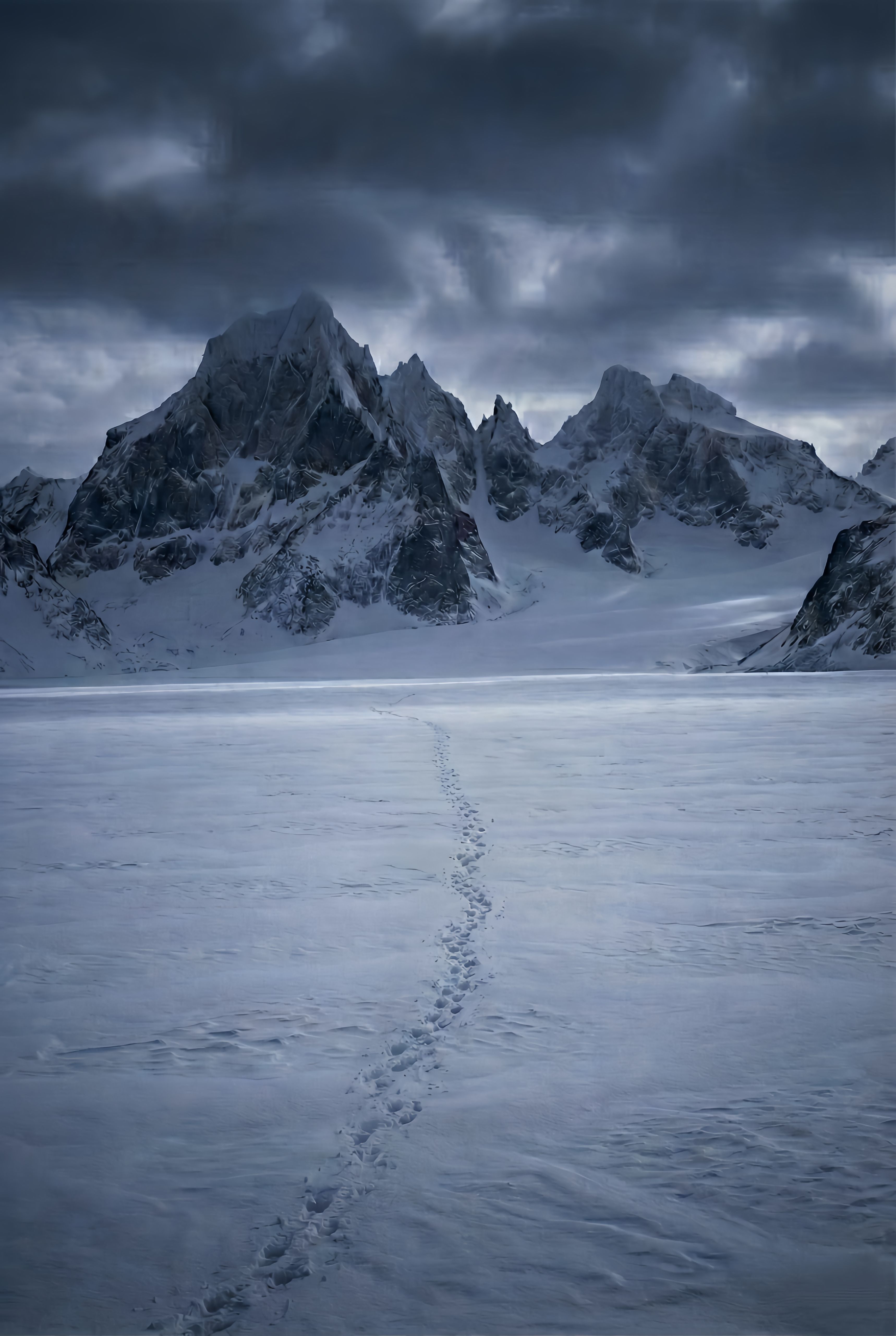 Depressed Penguin Horizon Trek Live Wallpaper