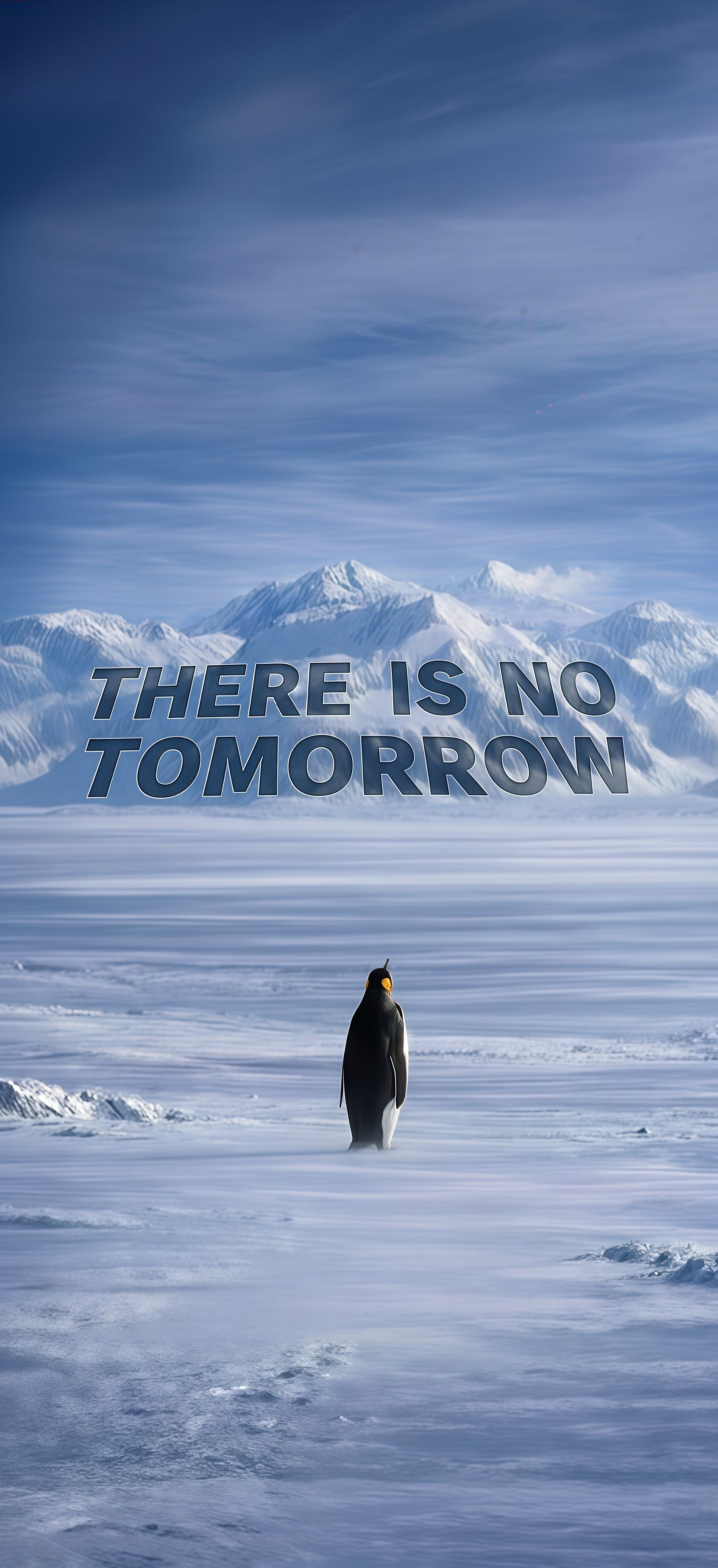 There Is No Tomorrow Penguin Wallpaper
