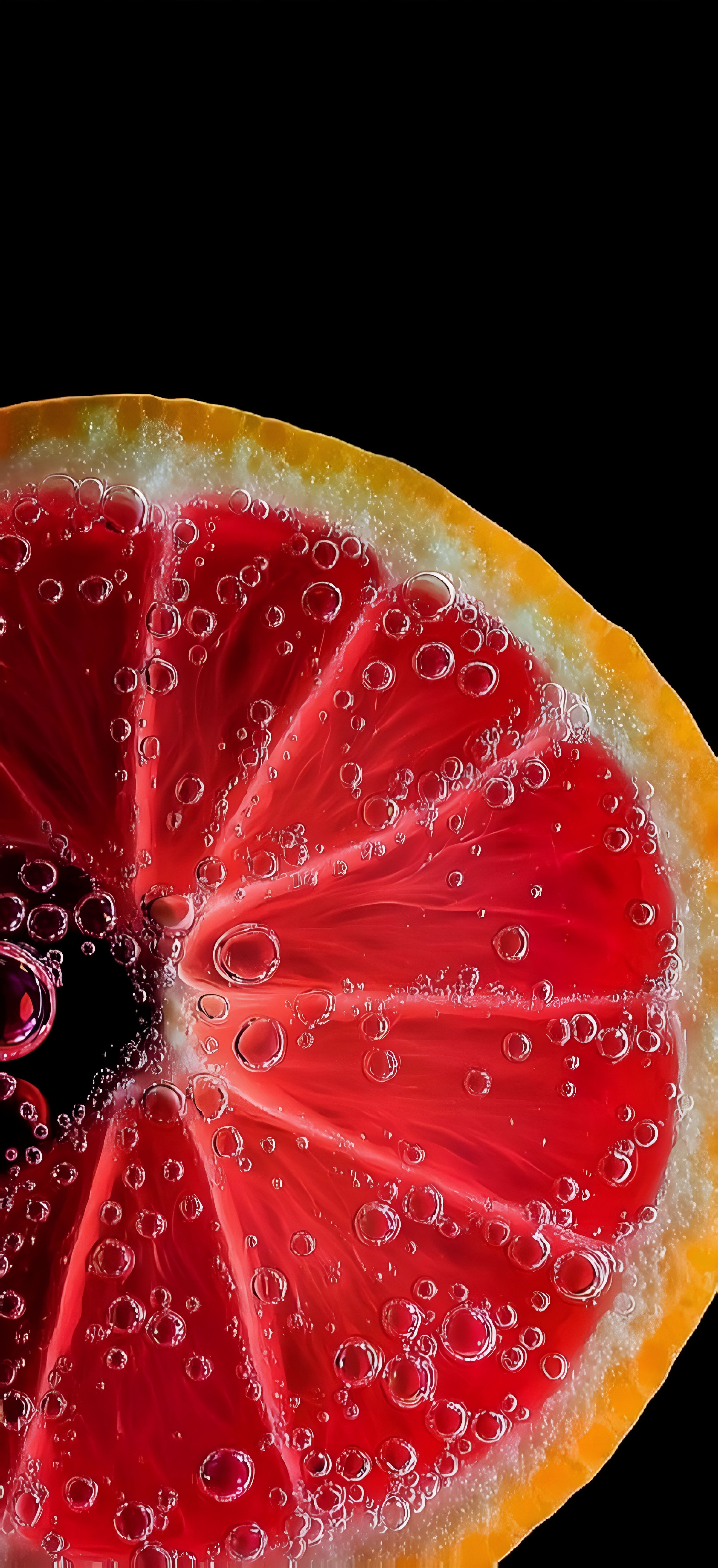 Blood Orange Citrus Wallpaper