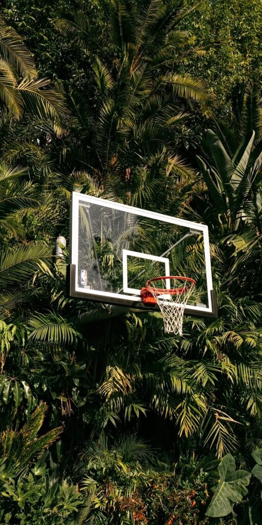 Basketball Hoop in Nature Wallpaper