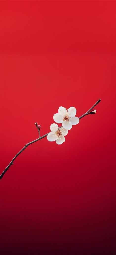 Cherry Blossom on Red Wallpaper