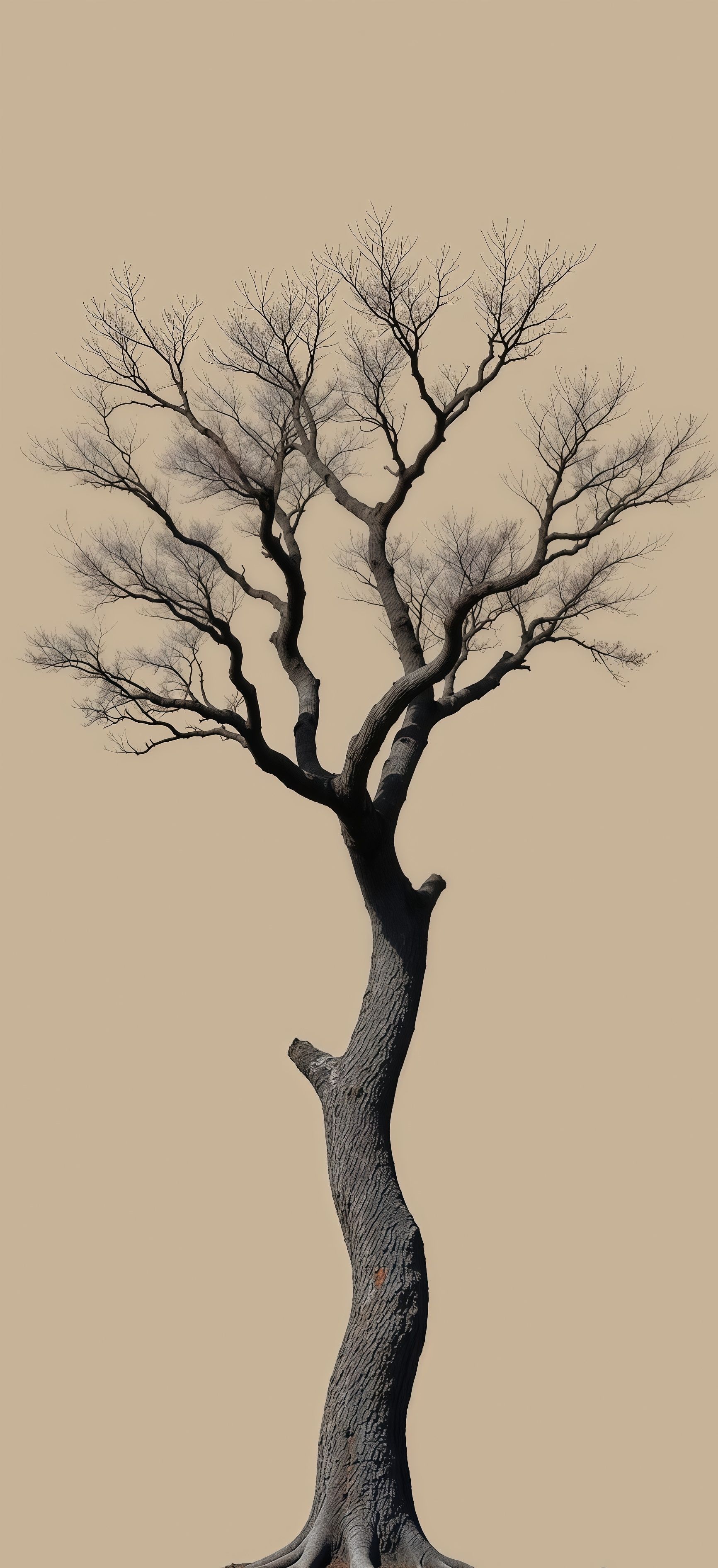 Minimalist Winter Tree Wallpaper