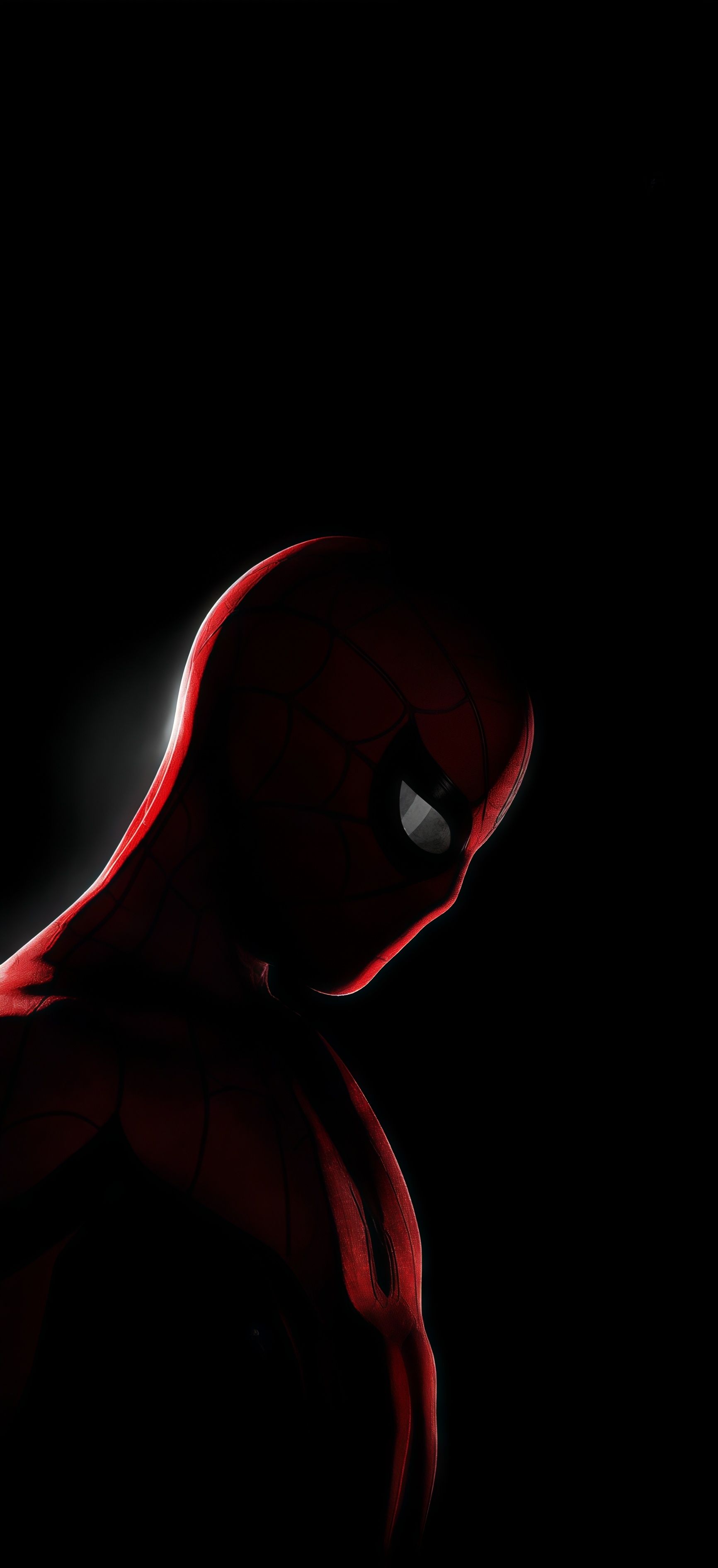 Spider-Man Noir Silhouette Wallpaper